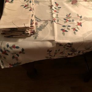 Napkins set of 10. Holiday red and green.Never used these napkins!